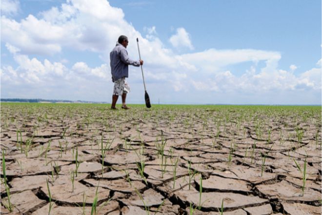 На юго-запад Бразилии пришла самая сильная засуха почти за столетие