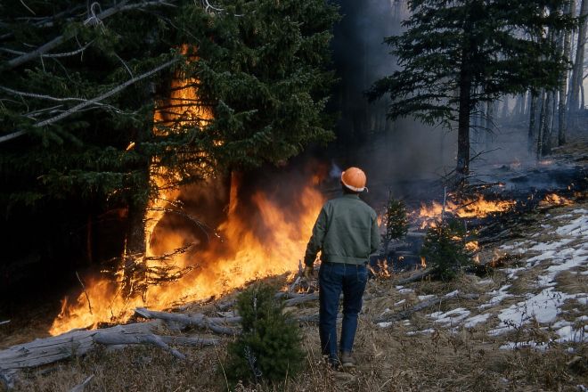 В ряде областей Украины 6 июня повысится риск возникновения пожаров