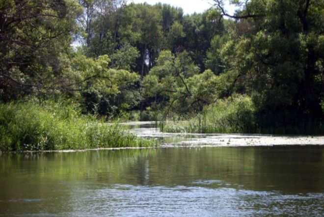 Жителей двух областей Украины предупреждают о подъеме уровней воды в реках