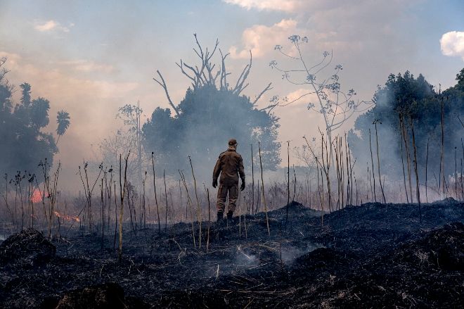 ГСЧС предупреждает о чрезвычайной пожарной опасности 20 июля в ряде областей Украины