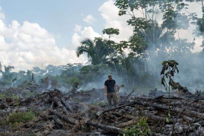 Уничтожение тропических лесов вдоль Амазонки грозит исчезновением 10 тыс. видов