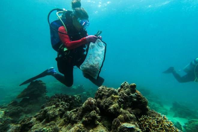 Всемирный день чистоты: на Филиппинах дайверы очистили кораллы
