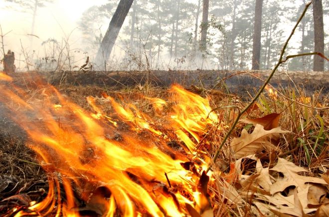 ГСЧС предупреждает о пожароопасности в Украине