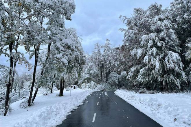 В Венгрии выпал первый снег: до 30 см осадков