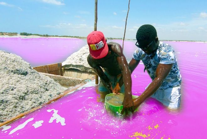 Изменение климата угрожает Розовому озеру Сенегала