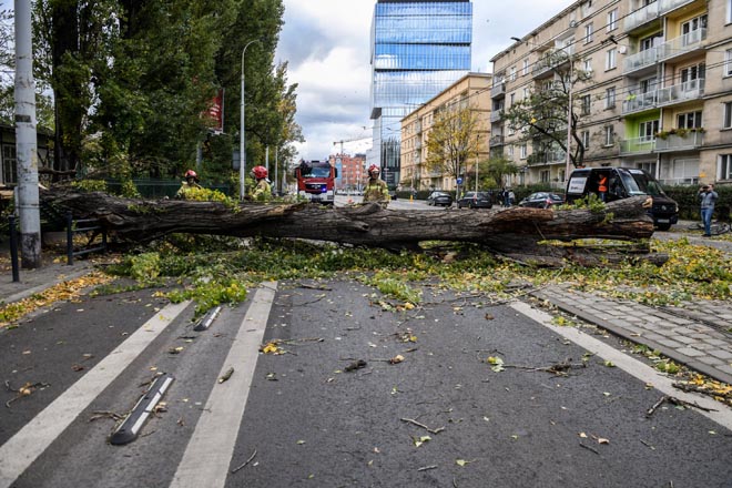 Ураган в Польше убил 4 человека