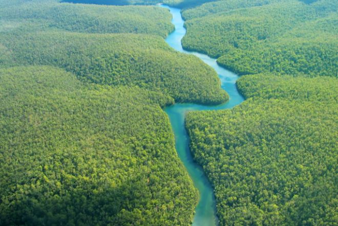 В Бразилии отмечен максимальный уровень обезлесения за 15 лет