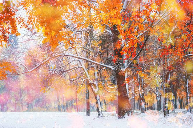 29 ноября в Украине будет преобладать облачная погода, дожди, местами со снегом, днем до +14 °С