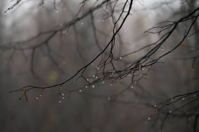 Погода в Киеве 11 декабря: пасмурно и дождливо, днем до +7 °С