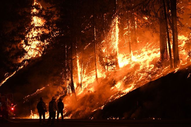 Лесные пожары бьют рекорды по выбросам углерода от Сибири до США