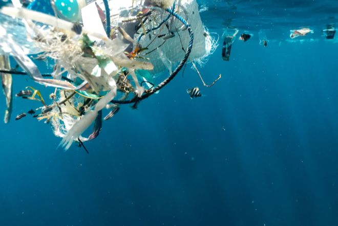 Пластик меняет жизнь в океане, становясь домом для миллионов существ