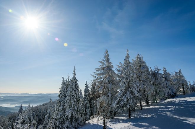 В горных районах двух областей Украины объявлена значительная снеголавинная опасность