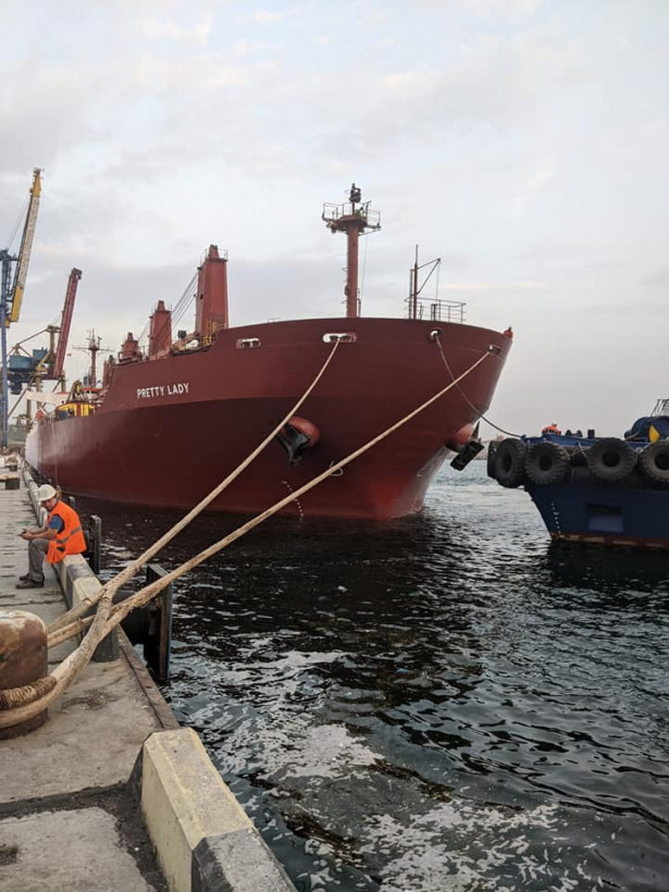 Из украинских портов вышли еще три судна с зерном