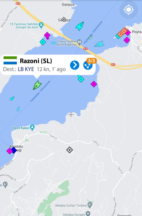 Сухогруз Razoni начал движение через Босфор