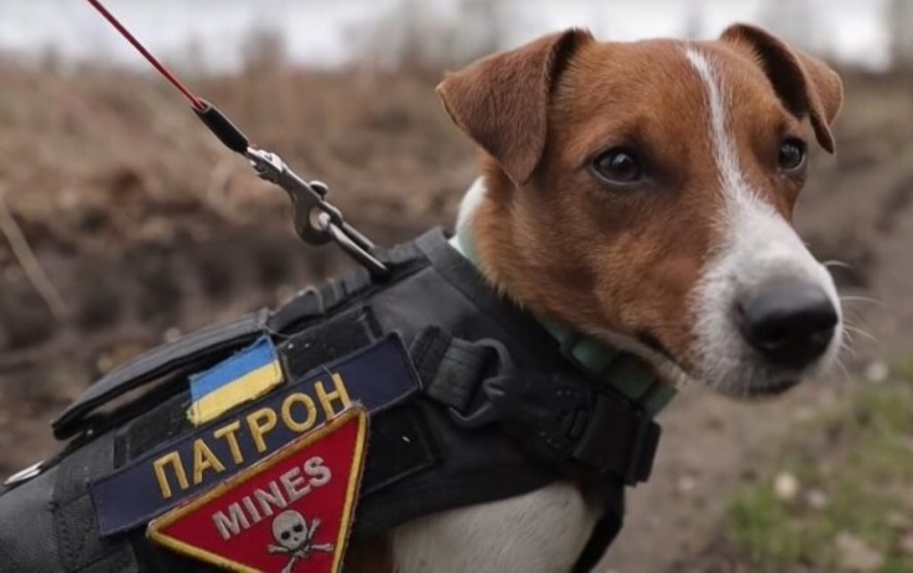 Фото: Патріот Донбасу