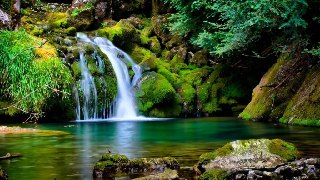 Природа