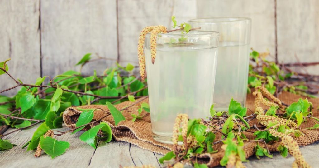 Чим корисний березовий сік і коли його варто пити?