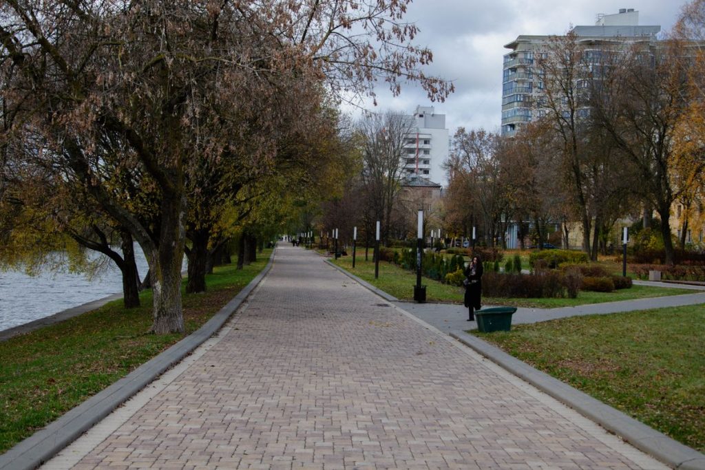 Чому містам потрібні дерева - pexels-alexander-fadeev-2157404034-34880898