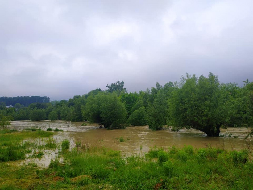 В Черновицкой области после обильного дождя вышла из берегов река: затопило часть села (ФОТО)