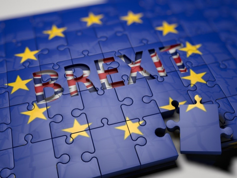 А. Митц: Brexit не решил проблем Лондона, но послужил уроком для Брюсселя