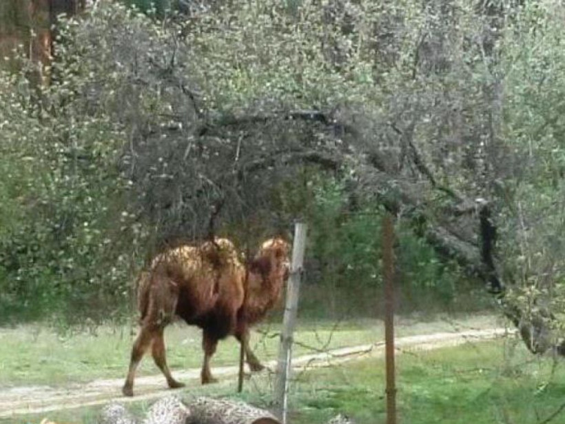 На Харьковщине по улицам <span id=