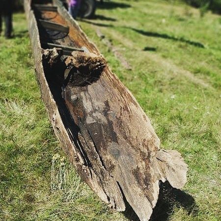 В реке на Житомирщине археологи обнаружили древнюю древлянскую лодку (ФОТО)
