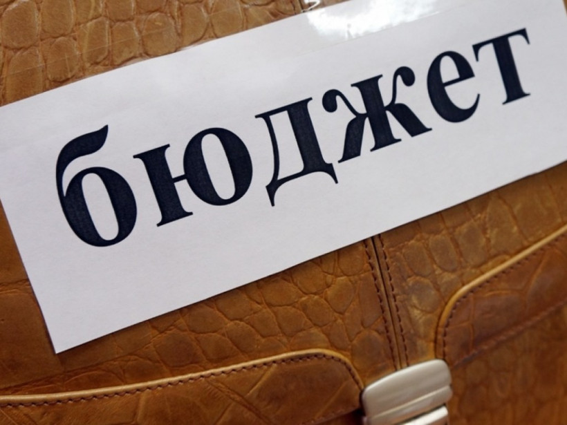 В. Степанюк: «Принятие бюджета отвечает требованиям МВФ и Мирового Банка»