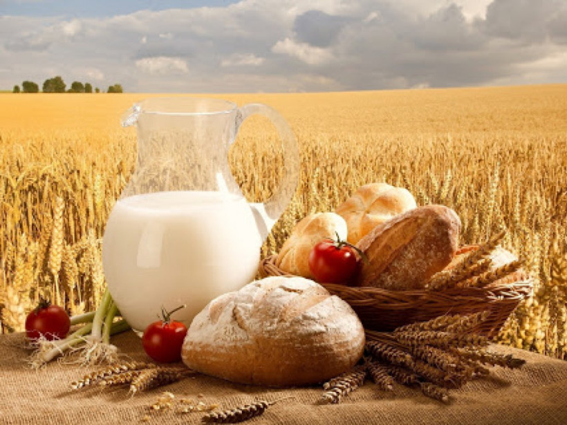 Медики назвали самые полезные для организма сочетания продуктов