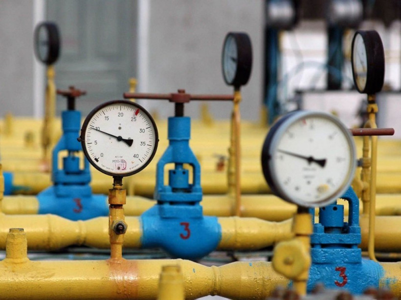 Увеличение импорта газа было необходимо для запуска химзаводов в Украине - экономист