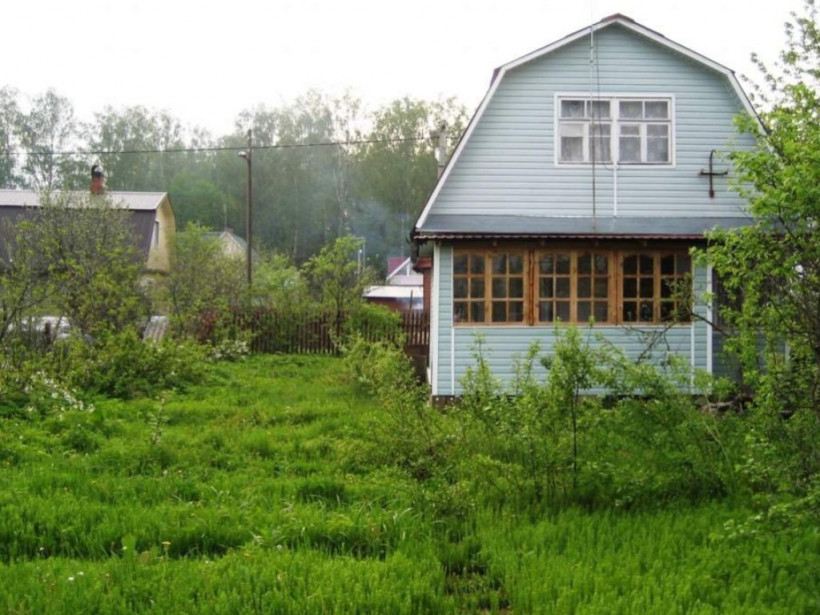 Дача для ленивых садоводов: как облегчить свою участь на огороде 