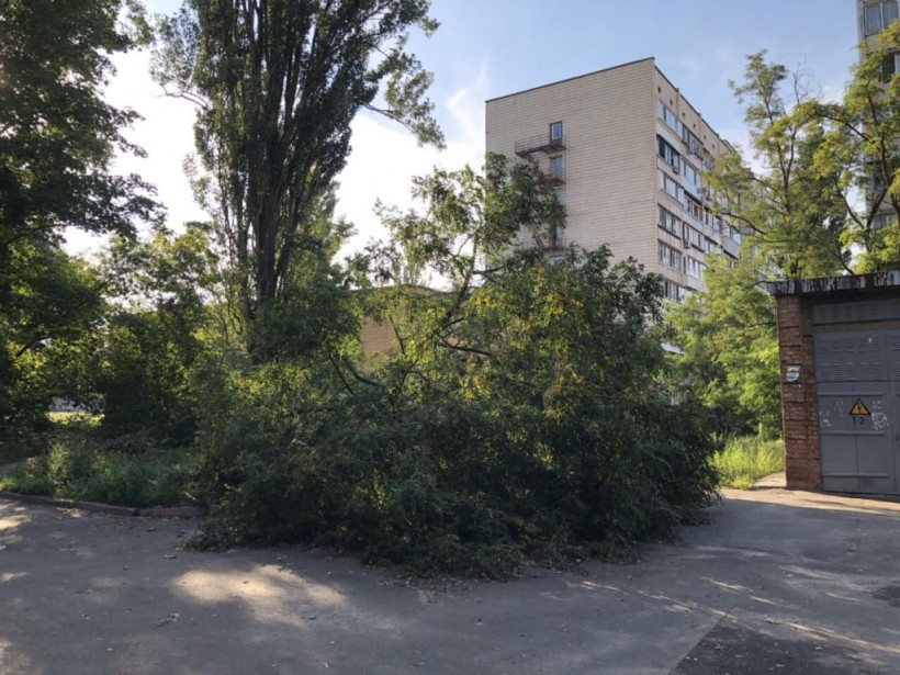 Ураган в Киеве: столичные коммунальщики не удосужились убрать улицы от рухнувших деревьев (ФОТО)