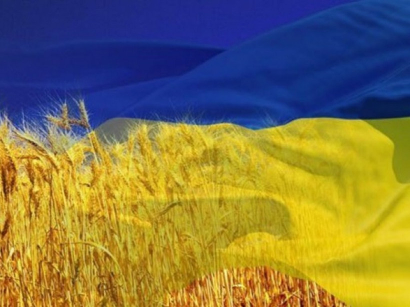 Кто хочет, чтобы Украину считали, самой криминальной страной Европы или немного о фейковых рейтингах