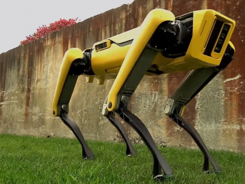 В США полиция штата Массачусетс взяла на работу робота-собаку от Boston Dynamics (ВИДЕО)