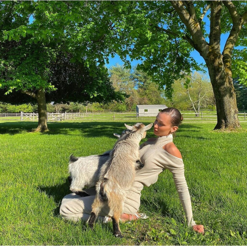 Джиджи Хадид снялась полуобнаженной с козлятами (ФОТО)